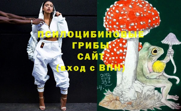 МДПВ Касимов