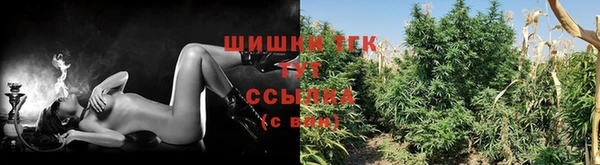 МДПВ Касимов