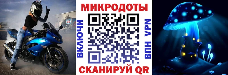 Псилоцибиновые грибы Cubensis где найти наркотики KRAKEN сайт Княгинино