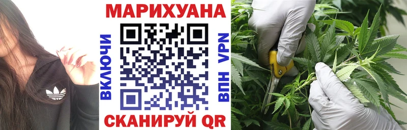 как найти закладки  Княгинино  Бошки марихуана индика 